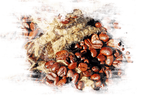 Naturecke Haldenwang - (Bohnen)Kaffee